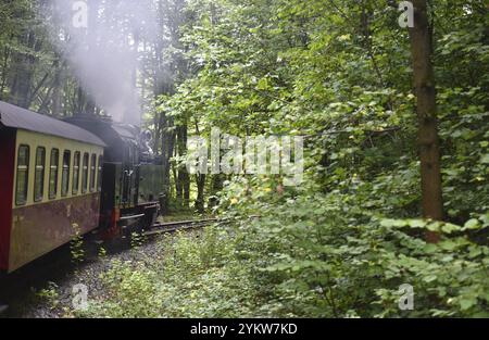 Die Selketalbahn, Harzer Schmalspurbahn, Brockenbahn führt durch den Harz, Sachsen-Anhalt, Deutschland, Europa Stockfoto