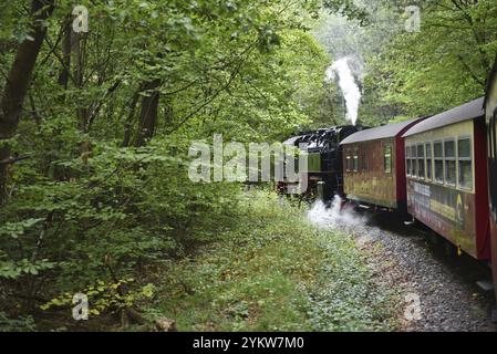 Die Selketalbahn, Harzer Schmalspurbahn, Brockenbahn führt durch den Harz, Sachsen-Anhalt, Deutschland, Europa Stockfoto