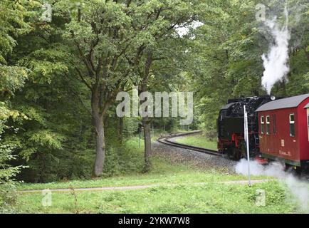 Die Selketalbahn, Harzer Schmalspurbahn, Brockenbahn führt durch den Harz, Sachsen-Anhalt, Deutschland, Europa Stockfoto