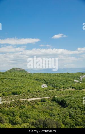 Landschaft von der Spitze der Klippe bis zum Bergwald Stockfoto