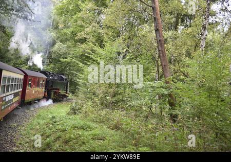 Die Selketalbahn, Harzer Schmalspurbahn, Brockenbahn führt durch den Harz, Sachsen-Anhalt, Deutschland, Europa Stockfoto