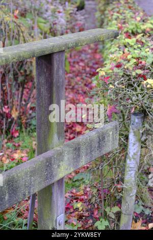 Verwitterter Holzzaun mit bunten Herbstblättern auf einem ruhigen Pfad, weseke, münsterland, deutschland Stockfoto