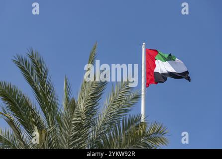 Ein Bild der Flagge der Vereinigten Arabischen Emirate Stockfoto