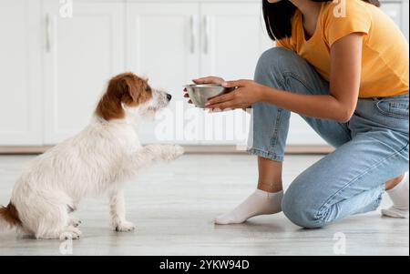 Flauschiger Hund wartet auf Futter, nicht erkennbare Frau füttert Haustier Stockfoto