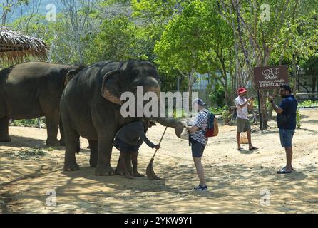 Ein Bild asiatischer Elefanten im Elephant Dschungel Sanctuary Phuket Stockfoto