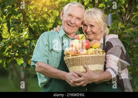 Glückliche Gärtner mit Apfelkorb. Lächelnder alter Mann und Frau. Liebe und Arbeit Stockfoto