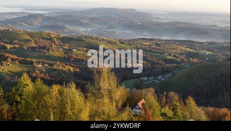 Morgendliche Atmosphäre, Morgenlicht fällt auf hügelige Landschaft und Weinberge, frühmorgendlicher Nebel im Tal, Blick von der Aussichtsplattform Demmerkogel Stockfoto
