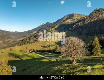 Panoramablick aus der Vogelperspektive im Herbst auf die Alpenlandschaft der Bergkette Nagelfluh in Steibis, Allgäuer Alpen, Bayern, Deutschland Stockfoto