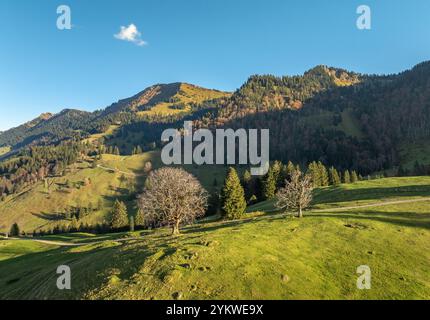 Panoramablick aus der Vogelperspektive im Herbst auf die Alpenlandschaft der Bergkette Nagelfluh in Steibis, Allgäuer Alpen, Bayern, Deutschland Stockfoto