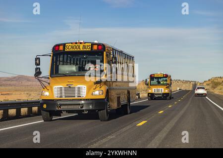 Ein Bild von zwei gelben amerikanischen Schulbussen in Arizona Stockfoto