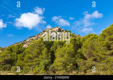 Hügel am Wanderweg zwischen Font de Sa Cala und Canyamel, Insel Mallorca, Spanien Stockfoto