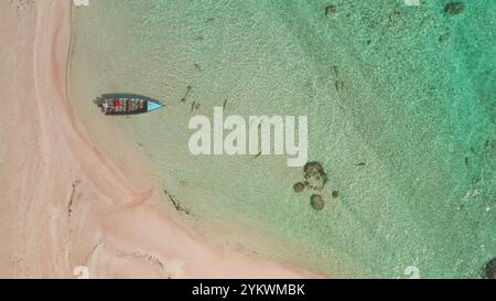 Angelboot mit Blick von oben nach unten in der Nähe des rosafarbenen Sandstrandes auf der tropischen Insellagune vor Anker. Kleine Riffhaie schwimmen in klarem, türkisfarbenem Wasser. Statische Aufnahme, wilde Natur Sommer Reise Hintergrund Stockfoto