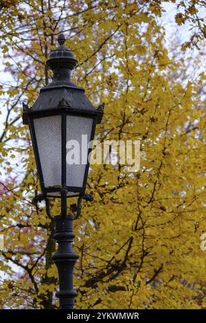 Eine alte Straßenlaterne steht vor einem Baum mit hellgelben Herbstblättern, Borken, münsterland, deutschland Stockfoto