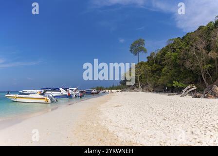 Ein Bild von Bamboo Island, in der Nähe der Phi Phi Inseln Stockfoto