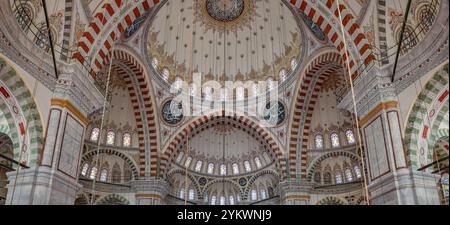 Ein Bild des farbenfrohen und wunderschönen Innenraums der Fatih-Moschee in Istanbul Stockfoto