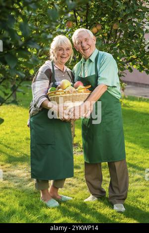 Fröhliches Paar, das einen Apfelkorb hält. Alter Mann und Frau lächeln. Werden Sie Gärtner Stockfoto