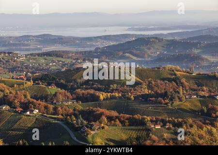 Morgendliche Atmosphäre, Morgenlicht fällt auf Weinberge in hügeliger Landschaft, frühmorgendlicher Nebel im Tal, Blick von der Aussichtsplattform Demmerkogel Stockfoto