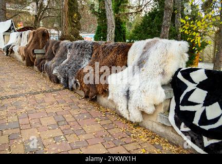 Kislowodsk, Russland - 03. Dezember 2023: Verkauf von gekleideten Fellen als Souvenirs, Stadtpark Kislowodsk Stockfoto