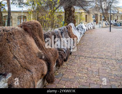 Kislowodsk, Russland - 03. Dezember 2023: Verkauf von Kaukasischen Souvenirs, Stadtpark Kislowodsk Stockfoto