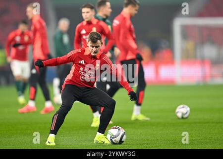 Während des UEFA Nations League-Spiels zwischen Ungarn und Deutschland am 19. November 2024 im Stadion Puskas Arena Park in Budapest, Ungarn Stockfoto