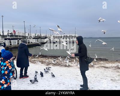 Ostsee Winter Menschen, die Möwen an der Ostseeküste in Danzig, Pommern, Polen, Europa, der EU füttern Stockfoto