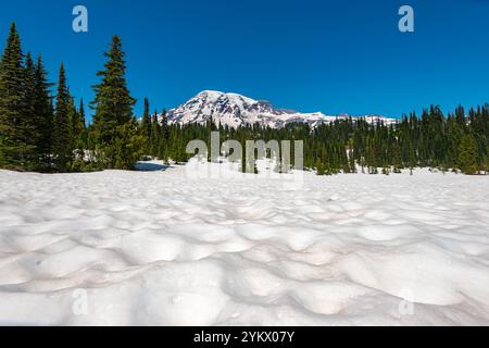 Mount Rainier im Mount Rainier National Park, Washington State, USA Stockfoto