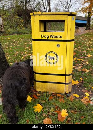 Hund-Mülleimer im park Stockfoto