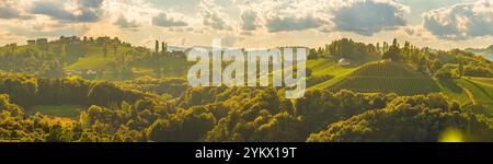 Panorama der Weinberge entlang der Südsteirischen Weinstraße im Sommer, Österreich Europa Stockfoto