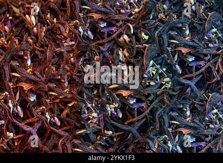 Drei Sorten getrockneten schwarzen Großblättrigen Tees, Lavendel, Rose, Hibiskus. Stockfoto