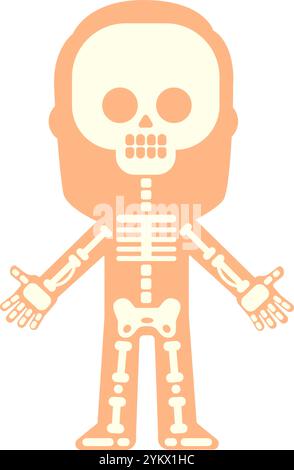 Stilisierte Illustration, die menschliche Skelettknochen innerhalb der Körpersilhouette zeigt, geeignet für pädagogische oder medizinische Zwecke, mit offenen Armen Stock Vektor