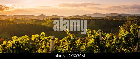 Panorama der Weinberge entlang der Südsteirischen Weinstraße im Sommer, Österreich Europa Stockfoto