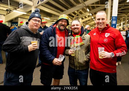 Cardiff, Großbritannien. November 2024. Fans vor dem Spiel. Wales gegen Island in der UEFA Nations League im Cardiff City Stadium am 19. November 2024. Quelle: Lewis Mitchell/Alamy Live News Stockfoto