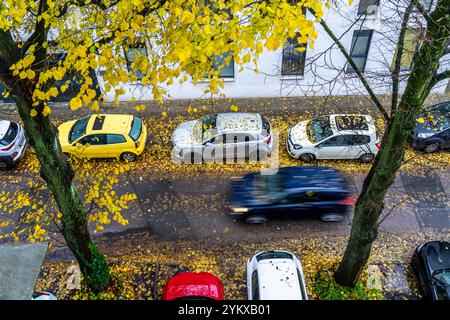 Herbst, regnerisches Wetter, Wohnstraße, geparkte Fahrzeuge, nasse Blätter auf der Straße, Bürgersteig, Baum, Linde, mit gelben Blättern, Essen, NR Stockfoto