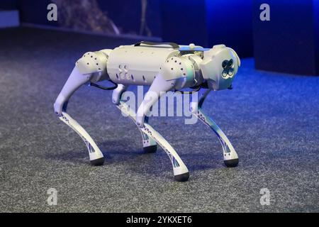 Militär-Roboterhund bei einer Demonstration Stockfoto