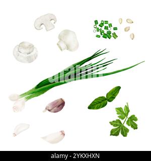 Grüne Zwiebeln und Knoblauchzehen, Pilze und Sesam. Aquarellabbildung. Petersilienblätter und in Scheiben geschnittene Pilze auf weißem Hintergrund. Suita Stockfoto