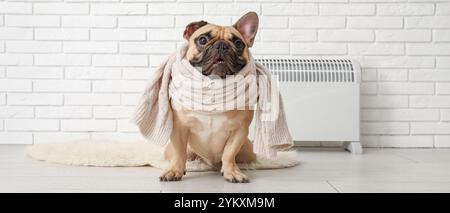 Süße französische Bulldogge mit Schal, die neben der elektrischen Heizung sitzt Stockfoto