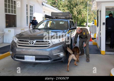 Ein Spokane Sector Border Patrol Agent führt zusammen mit seinem Eckpartner Operationen im Metaline Falls Port of Entry in Metaline Falls, Washington, am 15. August 2023 durch. US-Zoll- und Grenzschutz Foto von Jerry Glaser Stockfoto