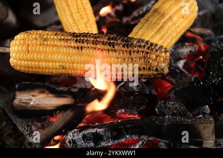 Nahaufnahme Maisbraten mit dem Cob am Lagerfeuer Stockfoto