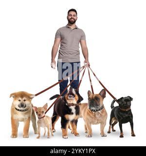 Junger Mann mit fünf verschiedenen Hunden auf weißem Hintergrund. Hundewanderservice Stockfoto