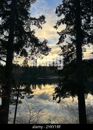 Blick auf den See durch Bäume Stockfoto