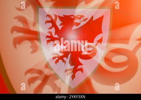 CARDIFF, GROSSBRITANNIEN. November 2024. Branding beim Spiel der UEFA Nations League 2025 zwischen Wales und Island am 19. November im Cardiff City Stadium in Cardiff, Wales. (Bild von John Smith/FAW) Credit: Football Association of Wales/Alamy Live News Stockfoto