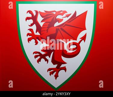 CARDIFF, GROSSBRITANNIEN. November 2024. Branding beim Spiel der UEFA Nations League 2025 zwischen Wales und Island am 19. November im Cardiff City Stadium in Cardiff, Wales. (Bild von John Smith/FAW) Credit: Football Association of Wales/Alamy Live News Stockfoto