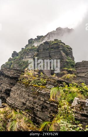 Adlerschnabel-Felsformation im Fanjing-Berg, umgeben von Wolken in Guizhou China Stockfoto