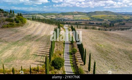 Eine wunderschöne Reise führt entlang einer gewundenen Straße, die von hohen Zypressen flankiert wird, durch weite goldene Felder in der bezaubernden Landschaft der Toskana Stockfoto