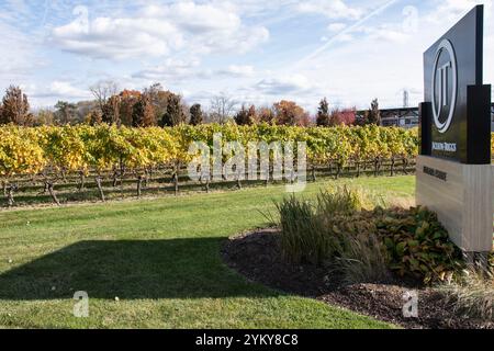 Jackson Triggs Weingut an der Niagara Stone Road in Niagara-on-the-Lake, Ontario, Kanada Stockfoto