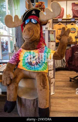 Gefüllter Elch mit einem T-Shirt in Cool as a Moose Souvenirladen auf Clifton Hill in Niagara Falls, Ontario, Kanada Stockfoto