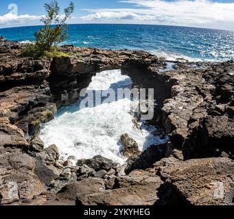 Makahuena Sea Arch, Poipu, Koloa, Kauai, Hawaii, USA Stockfoto