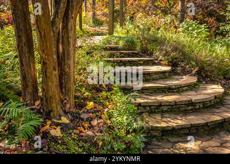 Steintreppen im Manor House Garden at Gibbs Gardens an einem wunderschönen Herbsttag in Ball Ground, Georgia, nördlich von Atlanta. (USA) Stockfoto