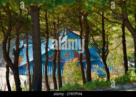 Yangyang County, Südkorea - 3. November 2024: Ein ruhiger Blick auf die Botajeon Hall am Naksansa Tempel, eingerahmt von hohen Kiefern und Herbstlaub, Stockfoto