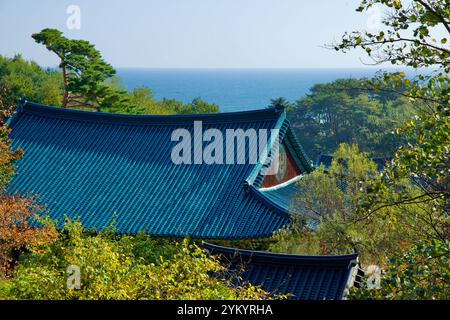 Yangyang County, Südkorea - 3. November 2024: Das komplizierte, grün gekachelte Dach der Botajeon Hall am Naksansa Tempel, vor einer üppigen Kulisse Stockfoto